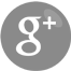 Google+