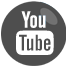 Google+
